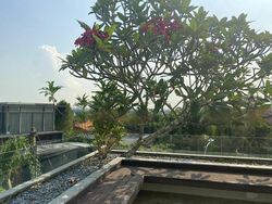 Raffles Park (D11), Detached #432641511